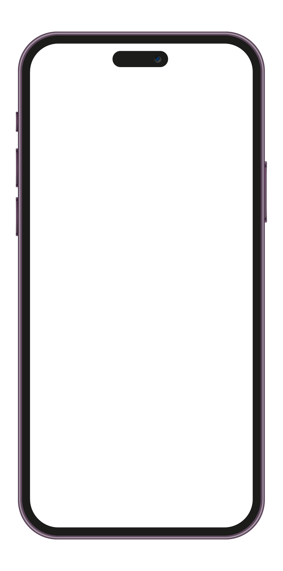 iPhone frame