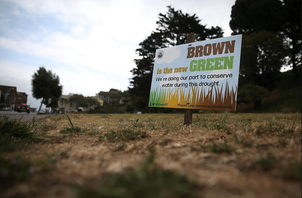 CBS-News-Brown-New-Green