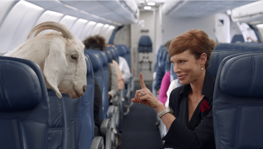 Delta-safety-video